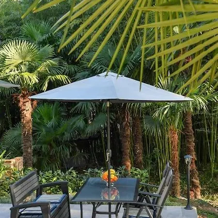 Lovely In The Park Near The *