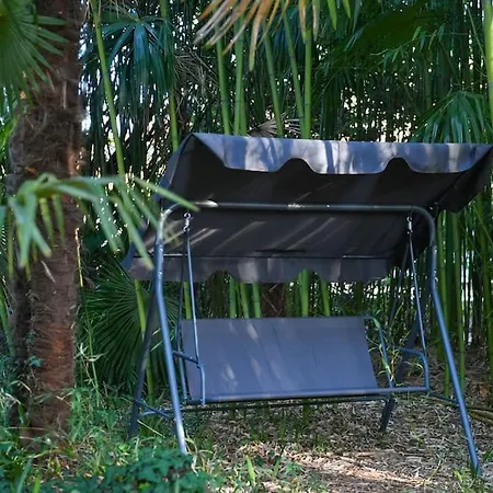 Lovely In The Park Near The